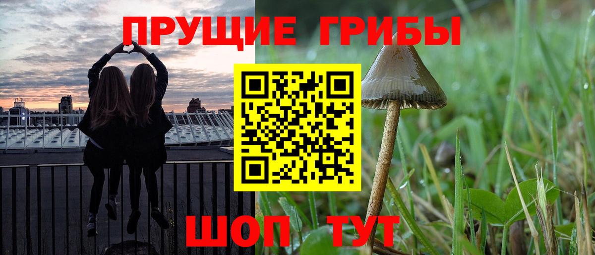 Галлюциногенные грибы мухоморы Архангельск