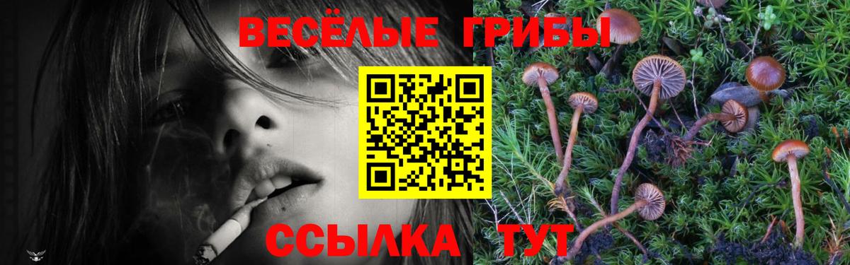 Псилоцибиновые грибы GOLDEN TEACHER  Галлюциногенные грибы GOLDEN TEACHER  Архангельск  Вход с VPN 